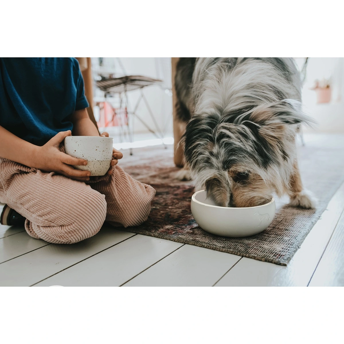 Hunter keramik Lund hunde skål 550 ml Beige